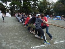 RIMG0238.jpg