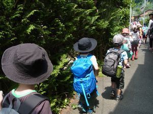 RIMG0527-1.jpg