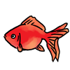 金魚4.png